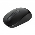  Microsoft Wireless Mouse 900 (PW4-00004)